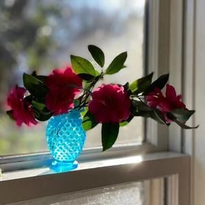 Meet your Posher, Deborah